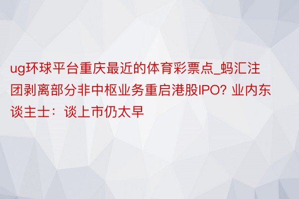 ug环球平台重庆最近的体育彩票点_蚂汇注团剥离部分非中枢业务重启港股IPO? 业内东谈主士：谈上市仍太早