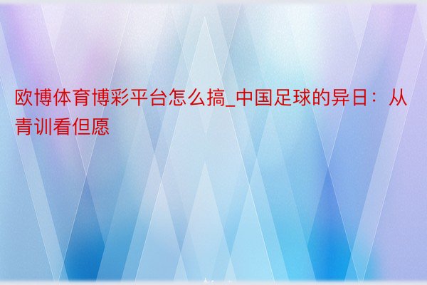 欧博体育博彩平台怎么搞_中国足球的异日：从青训看但愿