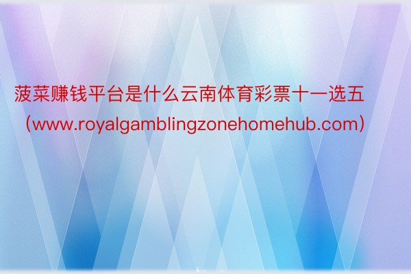 菠菜赚钱平台是什么云南体育彩票十一选五（www.royalgamblingzonehomehub.com）