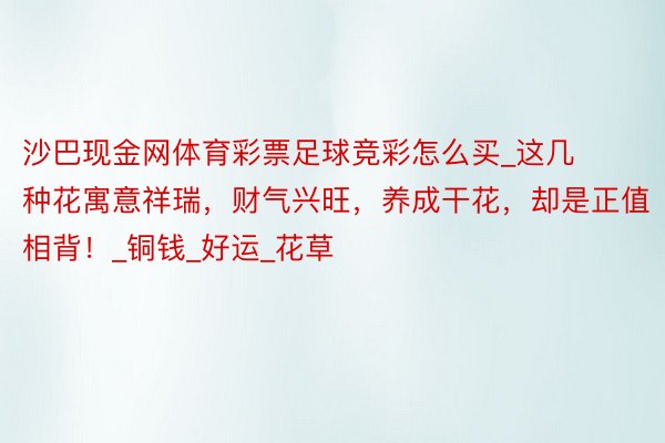 沙巴现金网体育彩票足球竞彩怎么买_这几种花寓意祥瑞,财气兴旺,养成干花,却是正值相背!_铜钱_好运_花草